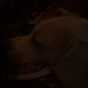 Meet your Posher, Jeri